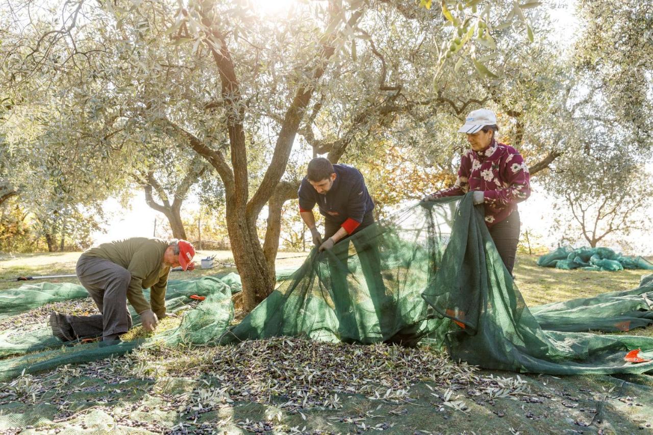 Agriturismo Agricamping Garda Natura Costermano Luaran gambar